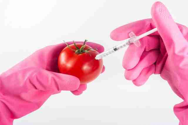 What Are Genetically Modified Foods And Should You Avoid Them?