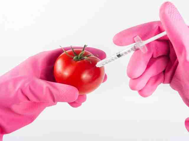 What Are Genetically Modified Foods And Should You Avoid Them?